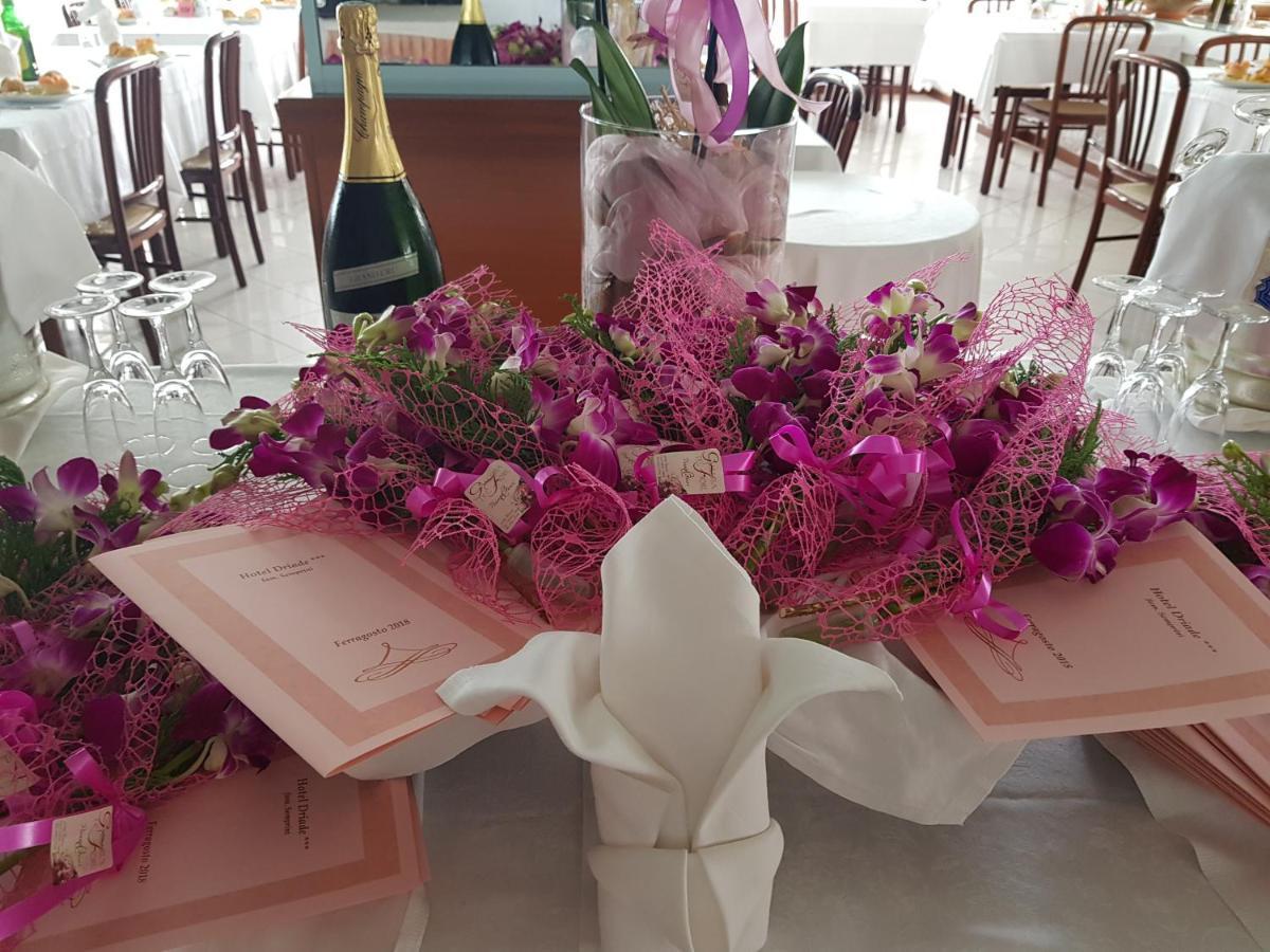 Hotel Driade Sul Mare 里米尼 外观 照片