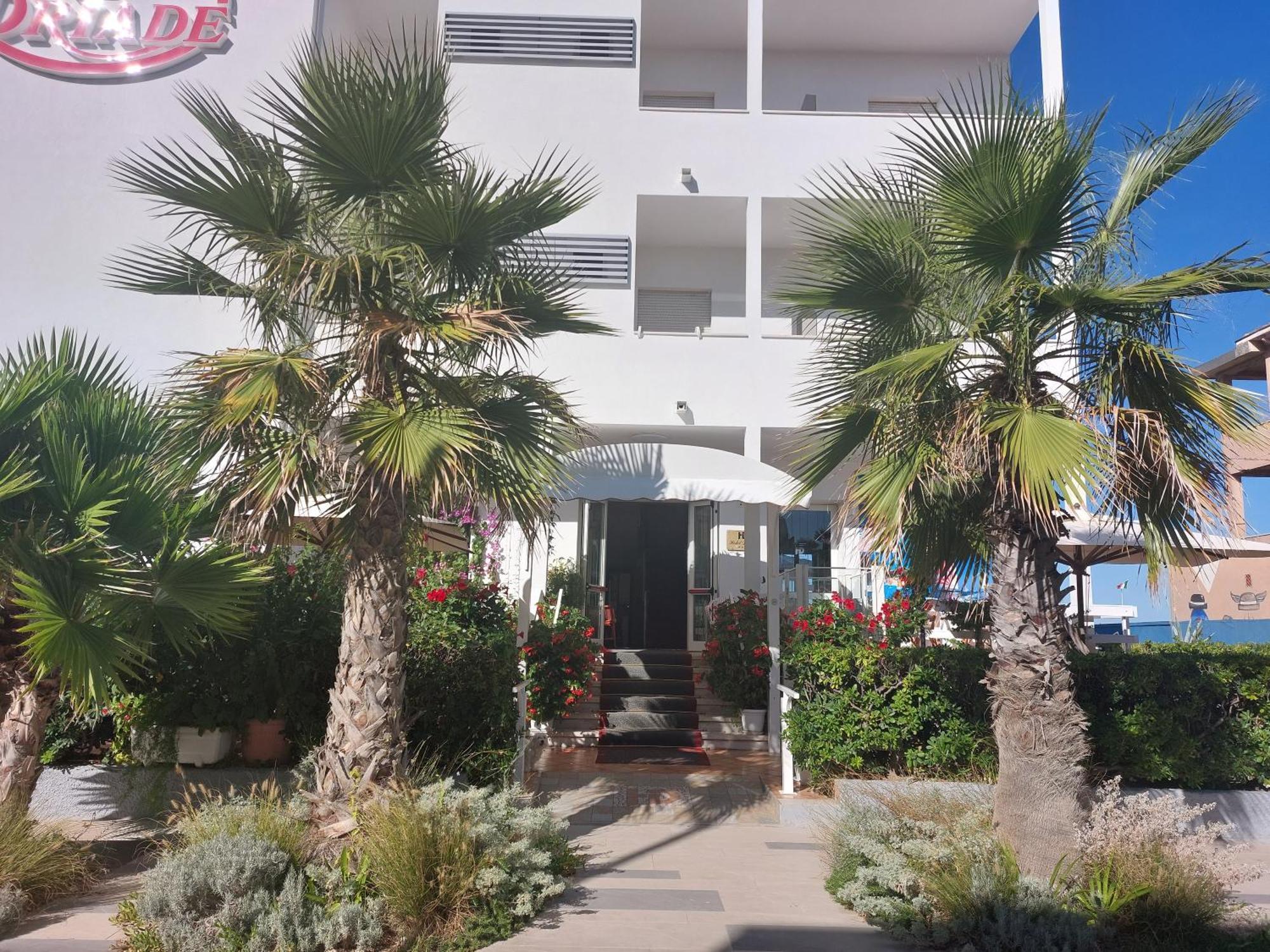 Hotel Driade Sul Mare 里米尼 外观 照片