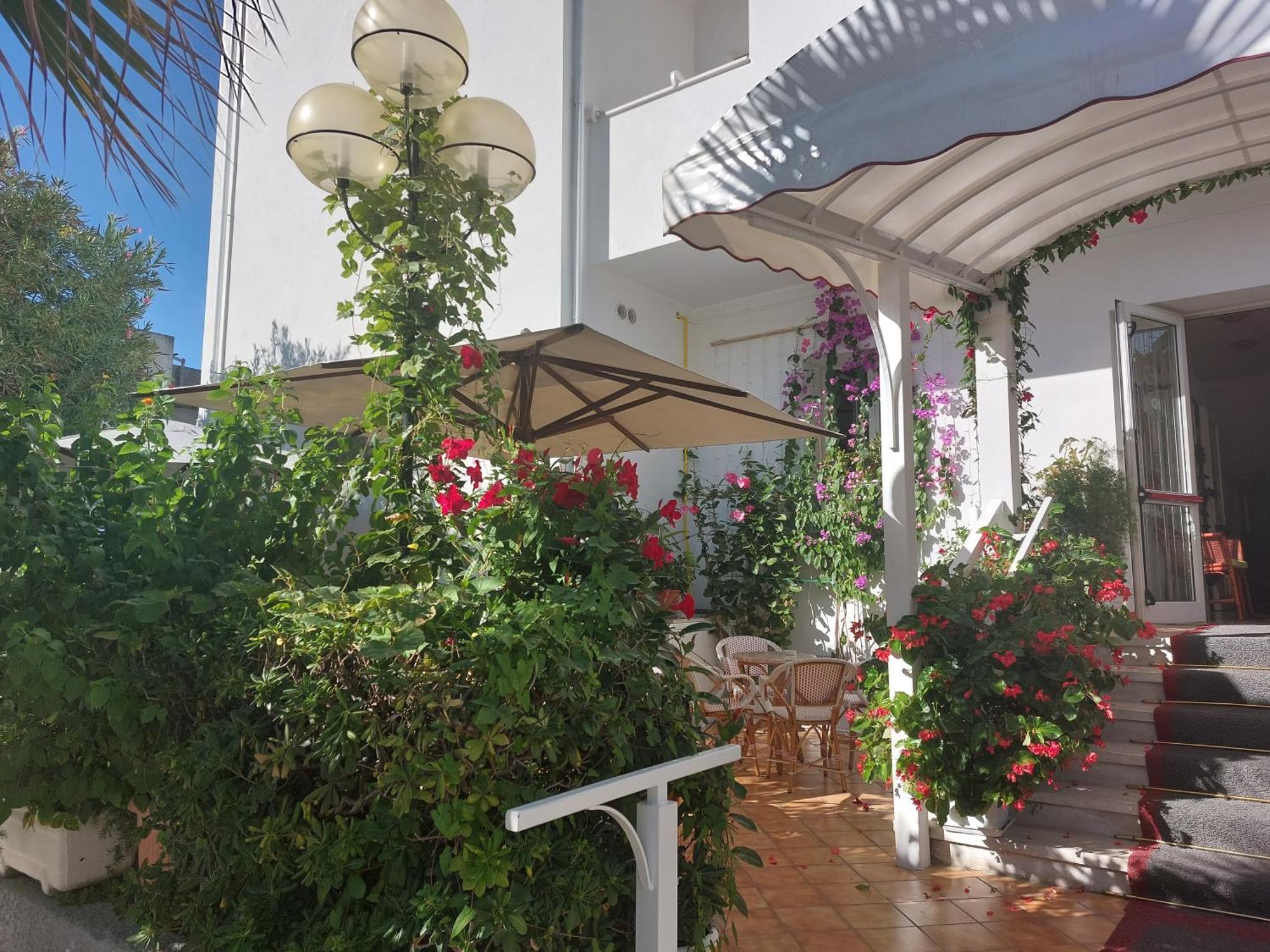 Hotel Driade Sul Mare 里米尼 外观 照片