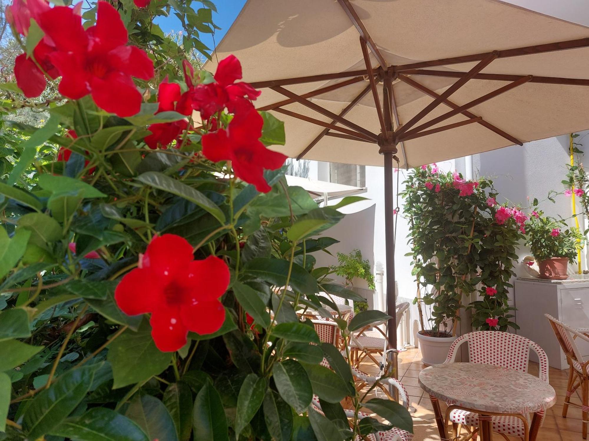 Hotel Driade Sul Mare 里米尼 外观 照片