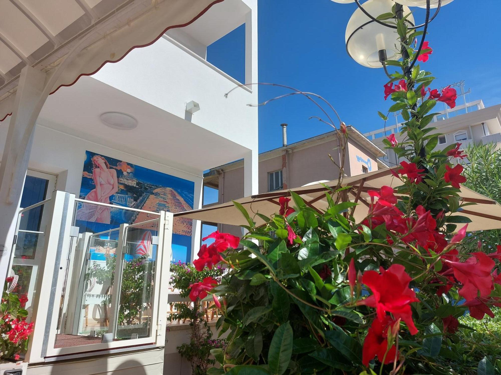 Hotel Driade Sul Mare 里米尼 外观 照片